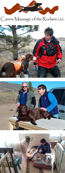 Canine Massage of the Rockies logo & photos